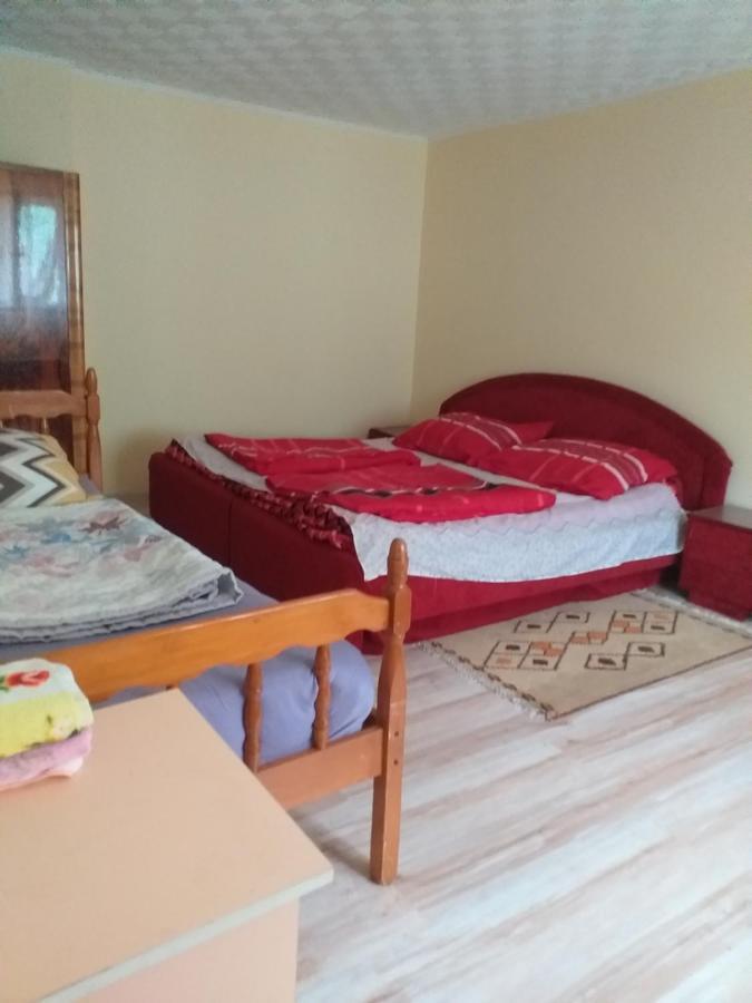 Villa Kaktus à Kaluderovo Extérieur photo